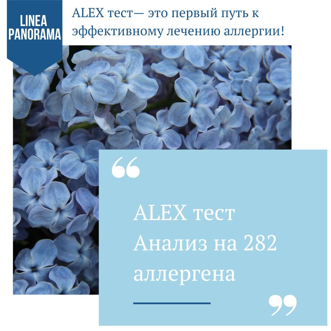 ALEX тест